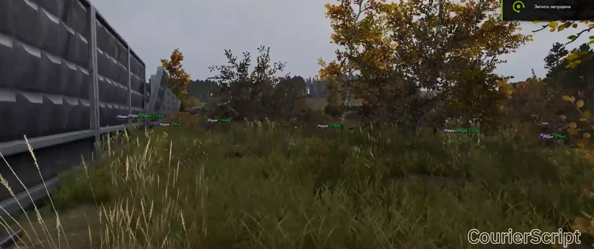 COURIERSCRIPT Dayz скриншот 2