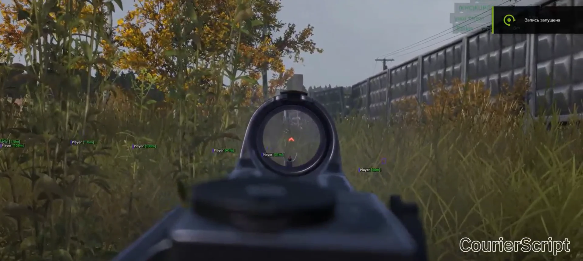 COURIERSCRIPT Dayz скриншот 3