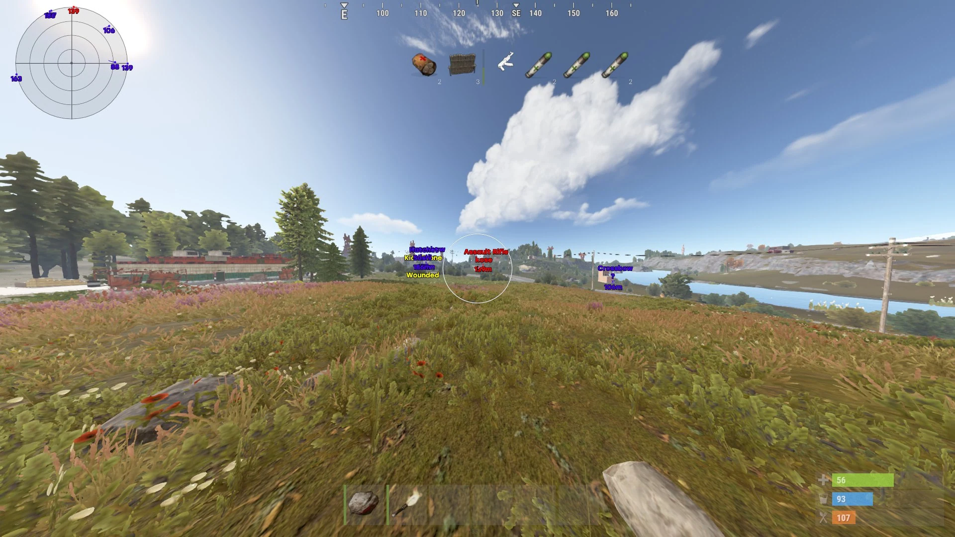 MASON INTERNAL Rust скриншот 7
