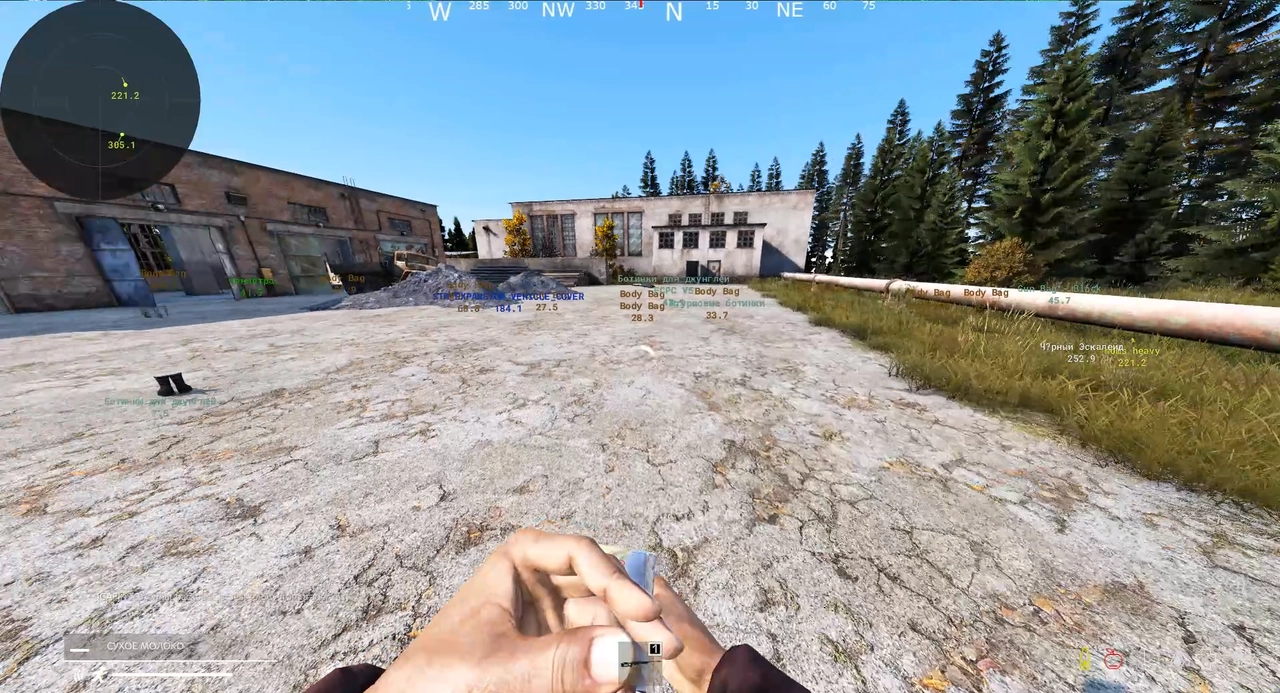 AVALANCHE cheat for Dayz