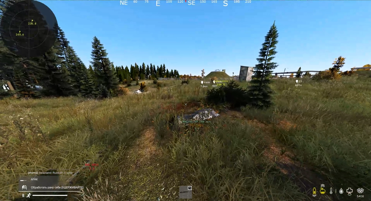 AVALANCHE cheat for Dayz