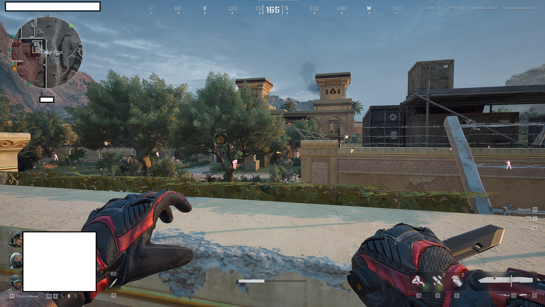 CHAMS cheat for Delta Force